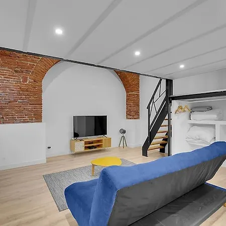 Apartment Loft Toulousain Atypique Renove A Neuf Toulouse